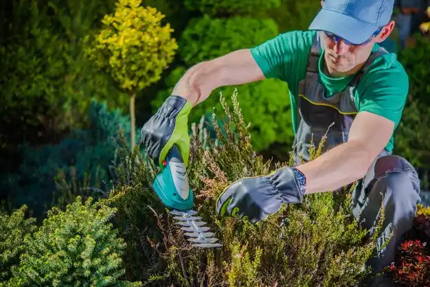 landscaping services Stockbridge